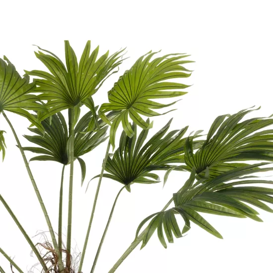Artificial Garden WASHINGTONIA FILIFERA TREE 21107 Τεχνητό Διακοσμητικό Φοινικόδεντρου Υ200cm Artificial Garden WASHINGTONIA FILIFERA TREE 21107 Τεχνητό Διακοσμητικό Φοινικόδεντρου Υ200cm