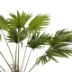 Artificial Garden WASHINGTONIA FILIFERA TREE 21107 Τεχνητό Διακοσμητικό Φοινικόδεντρου Υ200cm Artificial Garden WASHINGTONIA FILIFERA TREE 21107 Τεχνητό Διακοσμητικό Φοινικόδεντρου Υ200cm