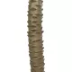Artificial Garden WASHINGTONIA FILIFERA TREE 21107 Τεχνητό Διακοσμητικό Φοινικόδεντρου Υ200cm Artificial Garden WASHINGTONIA FILIFERA TREE 21107 Τεχνητό Διακοσμητικό Φοινικόδεντρου Υ200cm