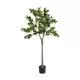 Artificial Garden ORANGE TREE 21109 Τεχνητό Διακοσμητικό Δέντρο Πορτοκαλιά Μ90 x Π70 x Υ160cm Artificial Garden ORANGE TREE 21109 Τεχνητό Διακοσμητικό Δέντρο Πορτοκαλιά Μ90 x Π70 x Υ160cm