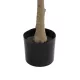 Artificial Garden ORANGE TREE 21109 Τεχνητό Διακοσμητικό Δέντρο Πορτοκαλιά Μ90 x Π70 x Υ160cm Artificial Garden ORANGE TREE 21109 Τεχνητό Διακοσμητικό Δέντρο Πορτοκαλιά Μ90 x Π70 x Υ160cm