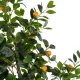 Artificial Garden ORANGE TREE 21110 Τεχνητό Διακοσμητικό Δέντρο Πορτοκαλιά Μ110 x Π80 x Υ200cm Artificial Garden ORANGE TREE 21110 Τεχνητό Διακοσμητικό Δέντρο Πορτοκαλιά Μ110 x Π80 x Υ200cm
