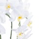 Artificial Garden WHITE ORCHID 21117 Διακοσμητικό Φυτό Λευκή Ορχιδέα Υ45cm