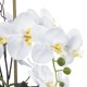 Artificial Garden WHITE ORCHID 21120 Διακοσμητικό Φυτό Λευκή Ορχιδέα Υ43cm