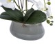 Artificial Garden WHITE ORCHID 21120 Διακοσμητικό Φυτό Λευκή Ορχιδέα Υ43cm