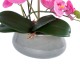 Artificial Garden PINK ORCHID 21121 Διακοσμητικό Φυτό Έντονο Ροζ Ορχιδέα Υ43cm