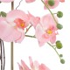 Artificial Garden SALMON PINK ORCHID 21122 Διακοσμητικό Φυτό Ροζ-Πορτοκαλί Ορχιδέα Υ43cm