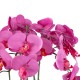 Artificial Garden DARK PINK ORCHID 21123 Διακοσμητικό Φυτό Φούξια Ορχιδέα Υ50cm