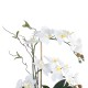 Artificial Garden WHITE ORCHID 21125 Διακοσμητικό Φυτό Λευκή Ορχιδέα Υ42cm