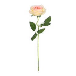 Artificial Garden CHAMPAGNE ROSE BRANCH 21141 Τεχνητό Διακοσμητικό Κλαδί Σαμπανιζέ Τριαντάφυλλο Y50cm