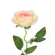 Artificial Garden CHAMPAGNE ROSE BRANCH 21141 Τεχνητό Διακοσμητικό Κλαδί Σαμπανιζέ Τριαντάφυλλο Y50cm Artificial Garden CHAMPAGNE ROSE BRANCH 21141 Τεχνητό Διακοσμητικό Κλαδί Σαμπανιζέ Τριαντάφυλλο Y50cm