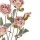 Artificial Garden PINK ROSE BRANCH 21142 Τεχνητό Διακοσμητικό Κλαδί Τριαντάφυλλα Ροζ Y80cm Artificial Garden PINK ROSE BRANCH 21142 Τεχνητό Διακοσμητικό Κλαδί Τριαντάφυλλα Ροζ Y80cm