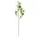 Artificial Garden WHITE JASMINE BRANCH 21145 Τεχνητό Διακοσμητικό Κλαδί Λευκό Γιασεμί Y80cm Artificial Garden WHITE JASMINE BRANCH 21145 Τεχνητό Διακοσμητικό Κλαδί Λευκό Γιασεμί Y80cm