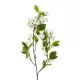 Artificial Garden WHITE JASMINE BRANCH 21145 Τεχνητό Διακοσμητικό Κλαδί Λευκό Γιασεμί Y80cm Artificial Garden WHITE JASMINE BRANCH 21145 Τεχνητό Διακοσμητικό Κλαδί Λευκό Γιασεμί Y80cm