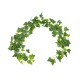 Artificial Garden ENGLISH IVY GARLAND 21146 Τεχνητή Διακοσμητική Αγγλική Γυρλάντα Φ20 x Υ200cm Σετ 2 τεμαχίων Artificial Garden ENGLISH IVY GARLAND 21146 Τεχνητή Διακοσμητική Αγγλική Γυρλάντα Φ20 x Υ200cm Σετ 2 τεμαχίων