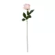 Artificial Garden PINK ROSE BRANCH 21148 Τεχνητό Διακοσμητικό Κλαδί Τριαντάφυλλα Ροζ Y63cm Artificial Garden PINK ROSE BRANCH 21148 Τεχνητό Διακοσμητικό Κλαδί Τριαντάφυλλα Ροζ Y63cm