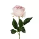 Artificial Garden PINK ROSE BRANCH 21148 Τεχνητό Διακοσμητικό Κλαδί Τριαντάφυλλα Ροζ Y63cm Artificial Garden PINK ROSE BRANCH 21148 Τεχνητό Διακοσμητικό Κλαδί Τριαντάφυλλα Ροζ Y63cm