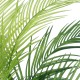 Artificial Garden PALM TREE 21154 Διακοσμητικό Φυτό Φοίνικας Υ120cm