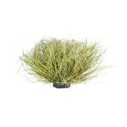 Artificial Garden GRASS BUSH PLANT 21166 Τεχνητό Διακοσμητικό Φυτό Θάμνος Grass Π50cm Y30cm