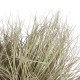 Artificial Garden GRASS BUSH PLANT 21167 Τεχνητό Διακοσμητικό Φυτό Θάμνος Grass Π50cm Y30cm