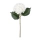 Artificial Garden WHITE HYDRANGEA BRANCH 21173 Τεχνητό Διακοσμητικό Κλαδί Ορτανσίας Λευκό Y47cm Artificial Garden WHITE HYDRANGEA BRANCH 21173 Τεχνητό Διακοσμητικό Κλαδί Ορτανσίας Λευκό Y47cm