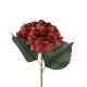 Artificial Garden RED HYDRANGEA BRANCH 21174 Τεχνητό Διακοσμητικό Κλαδί Ορτανσίας Κόκκινο Y47cm Artificial Garden RED HYDRANGEA BRANCH 21174 Τεχνητό Διακοσμητικό Κλαδί Ορτανσίας Κόκκινο Y47cm
