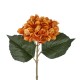 Artificial Garden ORANGE HYDRANGEA BRANCH 21179 Τεχνητό Διακοσμητικό Κλαδί Ορτανσίας Πορτοκαλί Y47cm Artificial Garden ORANGE HYDRANGEA BRANCH 21179 Τεχνητό Διακοσμητικό Κλαδί Ορτανσίας Πορτοκαλί Y47cm