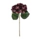 Artificial Garden DARK RED HYDRANGEA BRANCH 21180 Τεχνητό Διακοσμητικό Κλαδί Ορτανσίας Βαθύ Κόκκινο Y47cm Artificial Garden DARK RED HYDRANGEA BRANCH 21180 Τεχνητό Διακοσμητικό Κλαδί Ορτανσίας Βαθύ Κόκκινο Y47cm