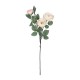 Artificial Garden CHAMPAGNE CLIMBING ROSE BRANCH 21183 Τεχνητό Διακοσμητικό Κλαδί Τριαντάφυλλο Σαμπανιζέ Y70cm Artificial Garden CHAMPAGNE CLIMBING ROSE BRANCH 21183 Τεχνητό Διακοσμητικό Κλαδί Τριαντάφυλλο Σαμπανιζέ Y70cm