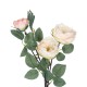 Artificial Garden CHAMPAGNE CLIMBING ROSE BRANCH 21183 Τεχνητό Διακοσμητικό Κλαδί Τριαντάφυλλο Σαμπανιζέ Y70cm Artificial Garden CHAMPAGNE CLIMBING ROSE BRANCH 21183 Τεχνητό Διακοσμητικό Κλαδί Τριαντάφυλλο Σαμπανιζέ Y70cm