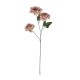 Artificial Garden OLD PINK CLIMBING ROSE BRANCH 21190 Τεχνητό Διακοσμητικό Κλαδί Τριαντάφυλλο Ξεθωριασμένο Ροζ Y66cm Artificial Garden OLD PINK CLIMBING ROSE BRANCH 21190 Τεχνητό Διακοσμητικό Κλαδί Τριαντάφυλλο Ξεθωριασμένο Ροζ Y66cm