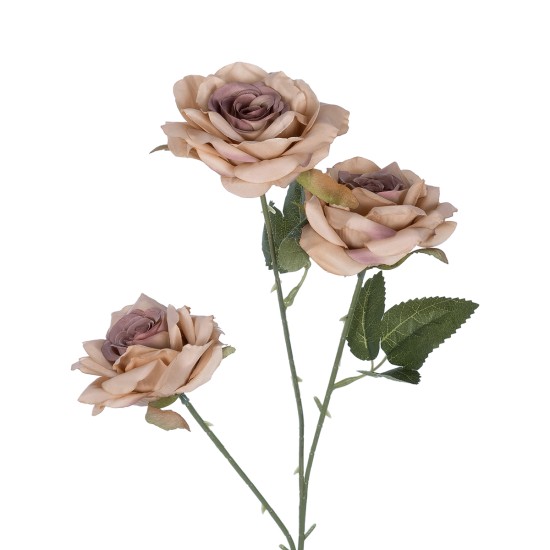 Artificial Garden OLD PINK CLIMBING ROSE BRANCH 21190 Τεχνητό Διακοσμητικό Κλαδί Τριαντάφυλλο Ξεθωριασμένο Ροζ Y66cm Artificial Garden OLD PINK CLIMBING ROSE BRANCH 21190 Τεχνητό Διακοσμητικό Κλαδί Τριαντάφυλλο Ξεθωριασμένο Ροζ Y66cm