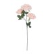 Artificial Garden PALE PINK CLIMBING ROSE BRANCH 21195 Τεχνητό Διακοσμητικό Κλαδί Τριαντάφυλλο απαλό Ροζ Y66cm Artificial Garden PALE PINK CLIMBING ROSE BRANCH 21195 Τεχνητό Διακοσμητικό Κλαδί Τριαντάφυλλο απαλό Ροζ Y66cm