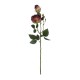 Artificial Garden RED DAMASK CLIMBING ROSE BRANCH 21197 Τεχνητό Διακοσμητικό Κλαδί Τριαντάφυλλο Κόκκινο Y55cm Artificial Garden RED DAMASK CLIMBING ROSE BRANCH 21197 Τεχνητό Διακοσμητικό Κλαδί Τριαντάφυλλο Κόκκινο Y55cm