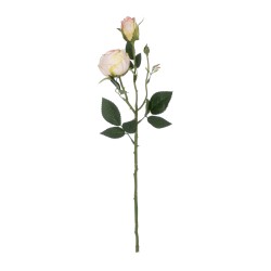 Artificial Garden CHAMPAGNE DAMASK CLIMBING ROSE BRANCH 21198 Τεχνητό Διακοσμητικό Κλαδί Τριαντάφυλλο Σαμπανιζέ Y55cm