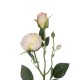 Artificial Garden CHAMPAGNE DAMASK CLIMBING ROSE BRANCH 21198 Τεχνητό Διακοσμητικό Κλαδί Τριαντάφυλλο Σαμπανιζέ Y55cm Artificial Garden CHAMPAGNE DAMASK CLIMBING ROSE BRANCH 21198 Τεχνητό Διακοσμητικό Κλαδί Τριαντάφυλλο Σαμπανιζέ Y55cm