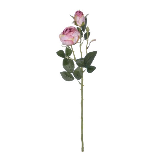 Artificial Garden PINK DAMASK CLIMBING ROSE BRANCH 21199 Τεχνητό Διακοσμητικό Κλαδί Τριαντάφυλλο Σαμπανιζέ Y55cm Artificial Garden PINK DAMASK CLIMBING ROSE BRANCH 21199 Τεχνητό Διακοσμητικό Κλαδί Τριαντάφυλλο Σαμπανιζέ Y55cm