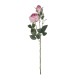 Artificial Garden PINK DAMASK CLIMBING ROSE BRANCH 21199 Τεχνητό Διακοσμητικό Κλαδί Τριαντάφυλλο Σαμπανιζέ Y55cm Artificial Garden PINK DAMASK CLIMBING ROSE BRANCH 21199 Τεχνητό Διακοσμητικό Κλαδί Τριαντάφυλλο Σαμπανιζέ Y55cm