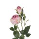 Artificial Garden PINK DAMASK CLIMBING ROSE BRANCH 21199 Τεχνητό Διακοσμητικό Κλαδί Τριαντάφυλλο Σαμπανιζέ Y55cm Artificial Garden PINK DAMASK CLIMBING ROSE BRANCH 21199 Τεχνητό Διακοσμητικό Κλαδί Τριαντάφυλλο Σαμπανιζέ Y55cm