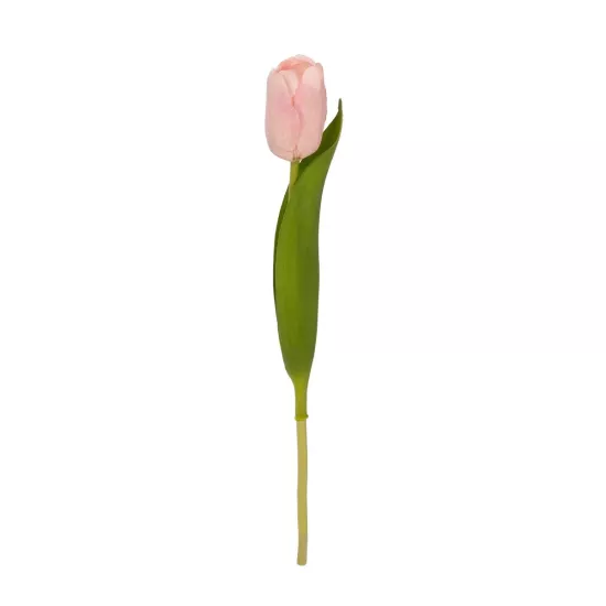 Artificial Garden PINK TULIP BRANCH 21200 Τεχνητό Διακοσμητικό Κλαδί Ροζ Τουλίπα Y37cm Artificial Garden PINK TULIP BRANCH 21200 Τεχνητό Διακοσμητικό Κλαδί Ροζ Τουλίπα Y37cm