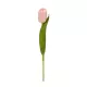 Artificial Garden PINK TULIP BRANCH 21200 Τεχνητό Διακοσμητικό Κλαδί Ροζ Τουλίπα Y37cm Artificial Garden PINK TULIP BRANCH 21200 Τεχνητό Διακοσμητικό Κλαδί Ροζ Τουλίπα Y37cm