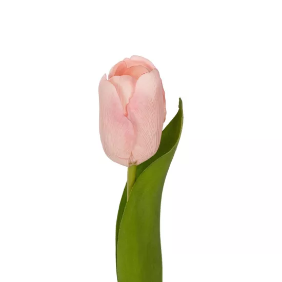 Artificial Garden PINK TULIP BRANCH 21200 Τεχνητό Διακοσμητικό Κλαδί Ροζ Τουλίπα Y37cm Artificial Garden PINK TULIP BRANCH 21200 Τεχνητό Διακοσμητικό Κλαδί Ροζ Τουλίπα Y37cm