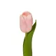 Artificial Garden PINK TULIP BRANCH 21200 Τεχνητό Διακοσμητικό Κλαδί Ροζ Τουλίπα Y37cm Artificial Garden PINK TULIP BRANCH 21200 Τεχνητό Διακοσμητικό Κλαδί Ροζ Τουλίπα Y37cm