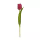 Artificial Garden HOT PINK TULIP BRANCH 21201 Τεχνητό Διακοσμητικό Κλαδί Έντονο Ροζ Τουλίπα Y37cm Artificial Garden HOT PINK TULIP BRANCH 21201 Τεχνητό Διακοσμητικό Κλαδί Έντονο Ροζ Τουλίπα Y37cm