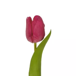 Artificial Garden HOT PINK TULIP BRANCH 21201 Τεχνητό Διακοσμητικό Κλαδί Έντονο Ροζ Τουλίπα Y37cm