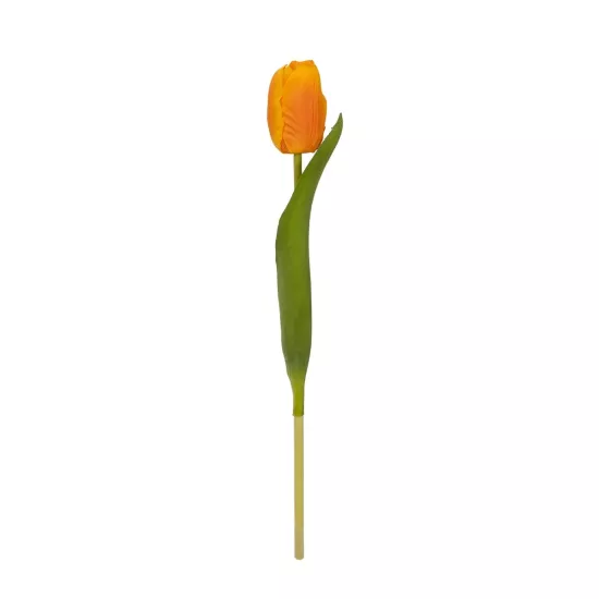 Artificial Garden ORANGE TULIP BRANCH 21202 Τεχνητό Διακοσμητικό Κλαδί Πορτοκαλί Τουλίπα Y37cm Artificial Garden ORANGE TULIP BRANCH 21202 Τεχνητό Διακοσμητικό Κλαδί Πορτοκαλί Τουλίπα Y37cm