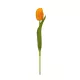 Artificial Garden ORANGE TULIP BRANCH 21202 Τεχνητό Διακοσμητικό Κλαδί Πορτοκαλί Τουλίπα Y37cm Artificial Garden ORANGE TULIP BRANCH 21202 Τεχνητό Διακοσμητικό Κλαδί Πορτοκαλί Τουλίπα Y37cm