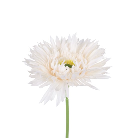 Artificial Garden PALE PINK GERBERABRANCH 21204 Τεχνητό Διακοσμητικό Κλαδί Ζέρμπερας Απαλό Ροζ Y44cm Artificial Garden PALE PINK GERBERABRANCH 21204 Τεχνητό Διακοσμητικό Κλαδί Ζέρμπερας Απαλό Ροζ Y44cm