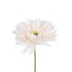 Artificial Garden PALE PINK GERBERABRANCH 21204 Τεχνητό Διακοσμητικό Κλαδί Ζέρμπερας Απαλό Ροζ Y44cm Artificial Garden PALE PINK GERBERABRANCH 21204 Τεχνητό Διακοσμητικό Κλαδί Ζέρμπερας Απαλό Ροζ Y44cm