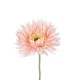 Artificial Garden PINK GERBERA BRANCH 21205 Τεχνητό Διακοσμητικό Κλαδί Ζέρμπερας Ροζ Y44cm Artificial Garden PINK GERBERA BRANCH 21205 Τεχνητό Διακοσμητικό Κλαδί Ζέρμπερας Ροζ Y44cm
